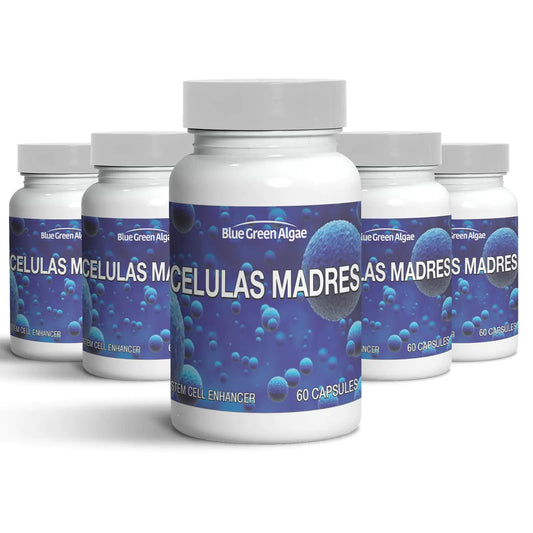Celulas Madres
